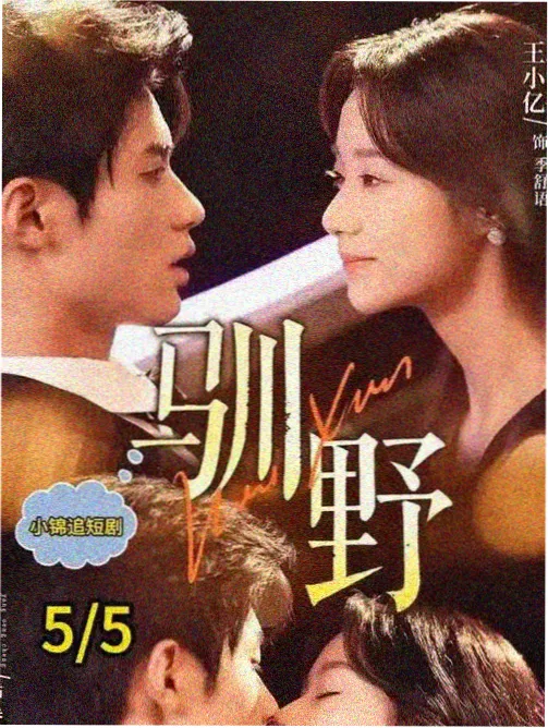 繁花 在线观看